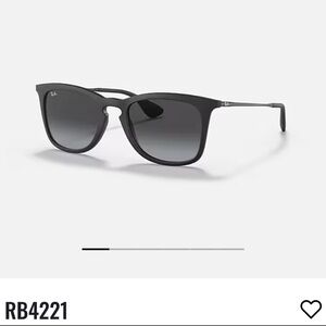 Ray-Ban Black Sunglasses